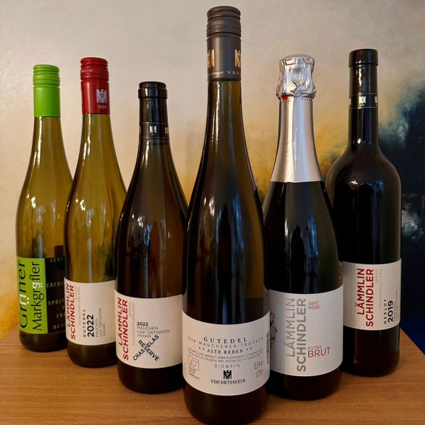 1. Welttag-des-Chasselas-Paket - Weingut Lämmlin-Schindler - Biowein
